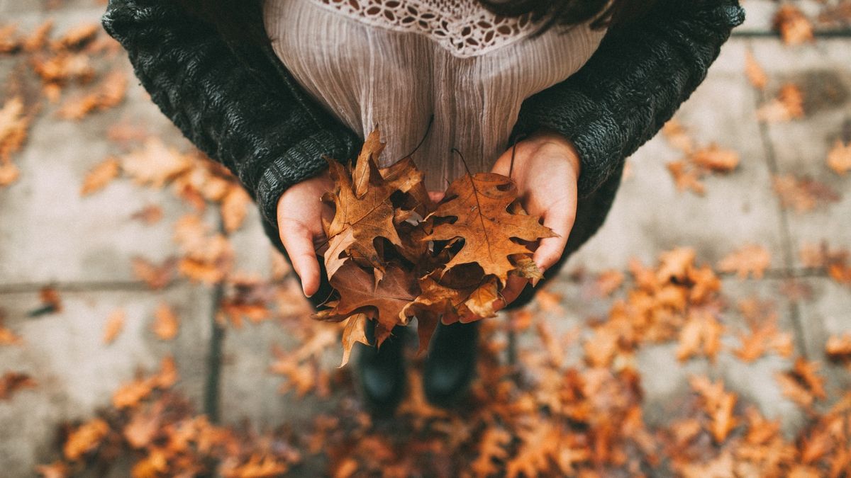 В Україну йдуть грозові дощі та похолодання