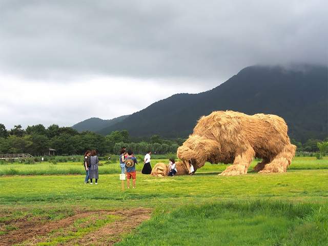Солом'яні гіганти у Японії - фото 275853