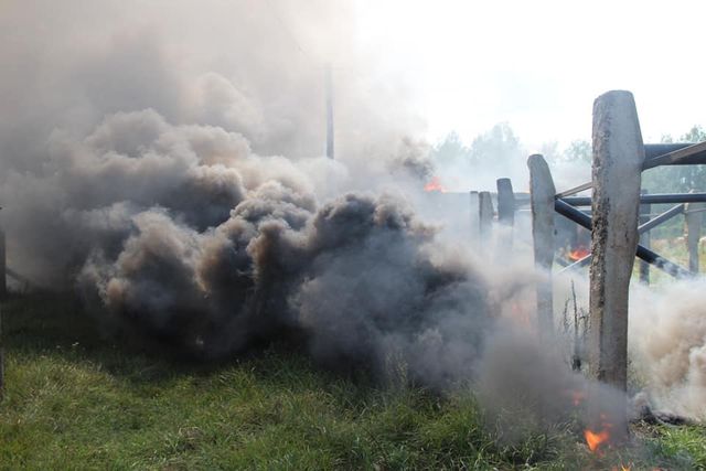 Прес-служба 95 бригади Десантно-штурмових військ - фото 276469