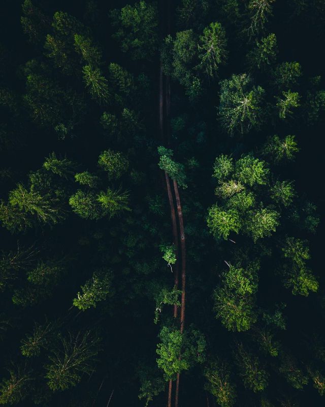 Цей фотограф своїми знімками змушує затамувати подих - фото 276939
