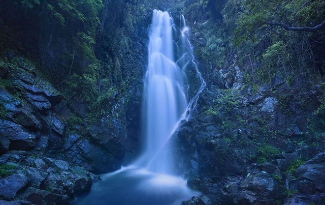 Вражаючі фото природи у розвиненому місті - фото 275095