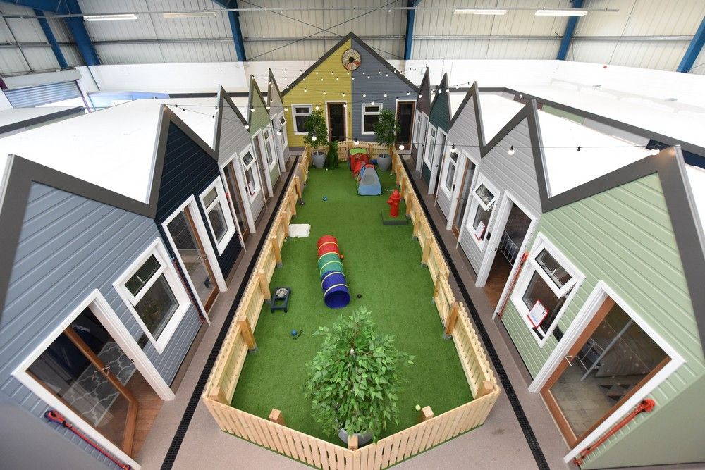 Як виглядає п'ятизірковий готель для собак у Великобританії