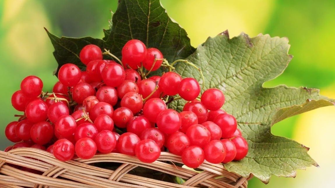 Названа одна з найбільш корисних ягід для печінки