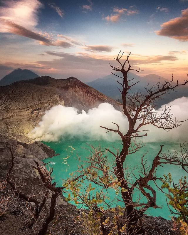 Чарівні подорожі від Лонго Хіндарто - фото 274040