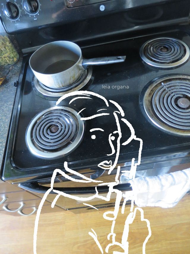 Персонажі Зоряних війн у звичайних предметах - фото 274583