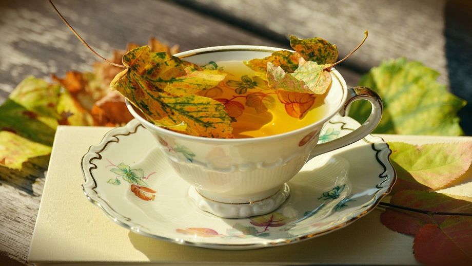 Погода в Україні на тиждень: синоптик дала точний прогноз