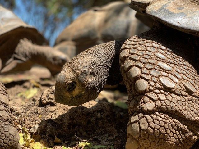 Фото з iPhone XS - фото 276703