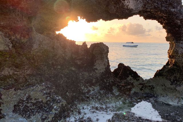 Фото з iPhone XS - фото 276704