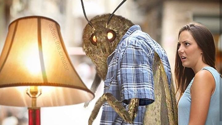 Комаху навіть зробили учасником іншого популярного мема - фото 1