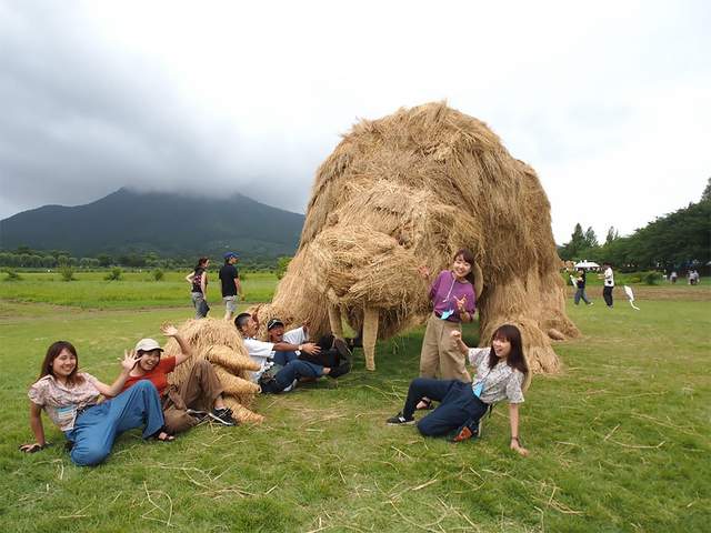Солом'яні гіганти у Японії - фото 275864