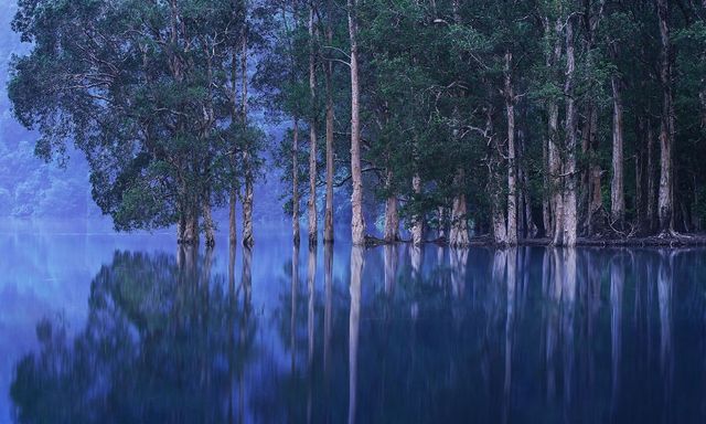 Вражаючі фото природи у розвиненому місті - фото 275097