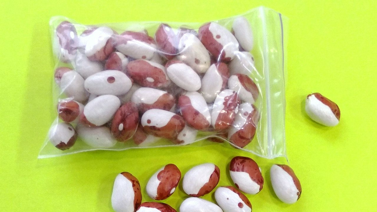 Названі унікальні властивості квасолі