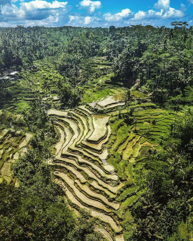 Кайл Мійлоф надихає на мандри - фото 273713