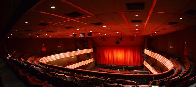 Затримано режисера та керівника театру - фото 275435