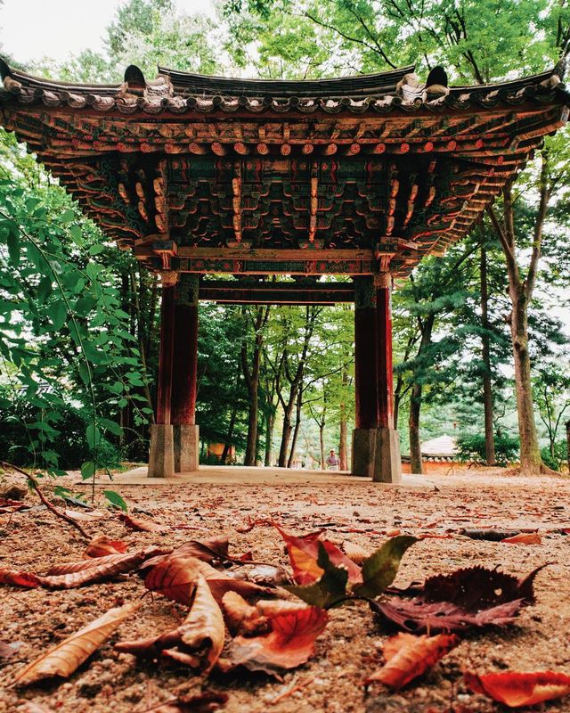 Талановитий фотограф надихає на подорожі - фото 277441