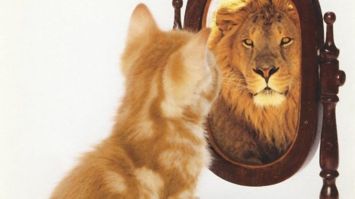 Пік самооцінки - фото 1