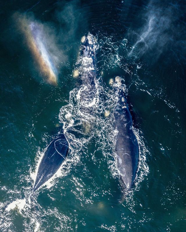 Кайл Мійлоф надихає на мандри - фото 273704