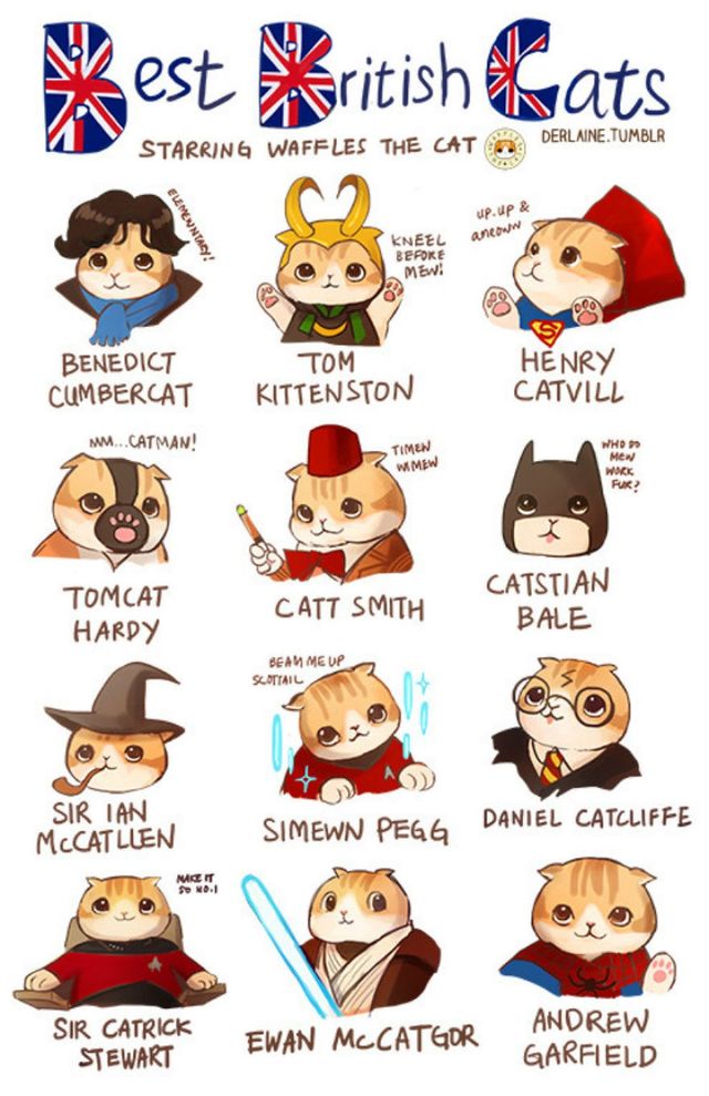 Відомі персонажі перетворились у кошенят - фото 276157