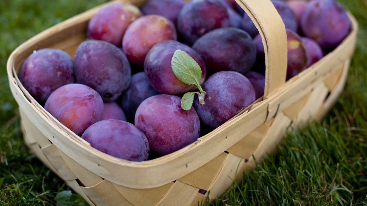 Ці осінні продукти допоможуть зміцнити імунітет