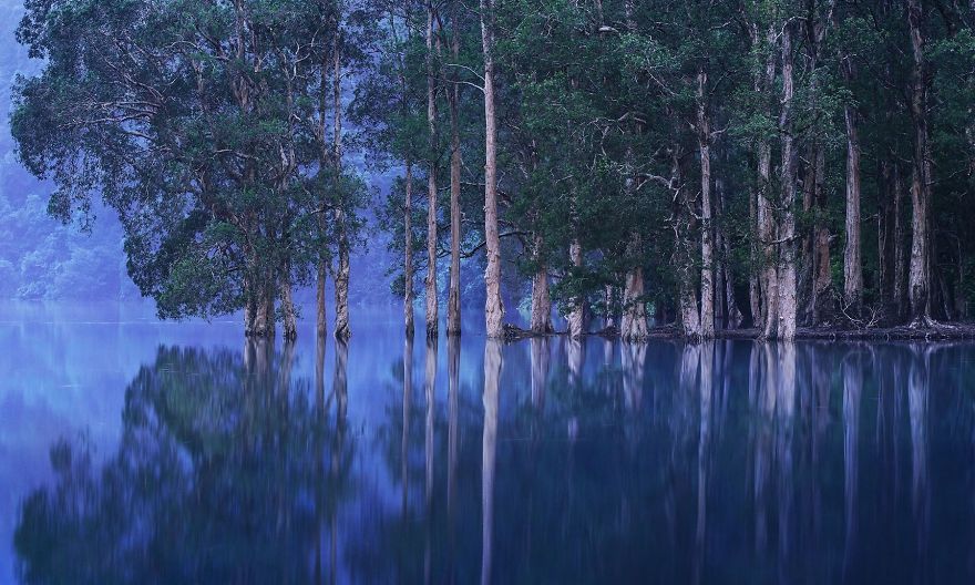 Вражаючі фото природи у розвиненому місті - фото 1