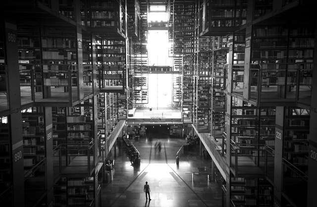 Ефектна бібліотека у Мехіко - фото 279179
