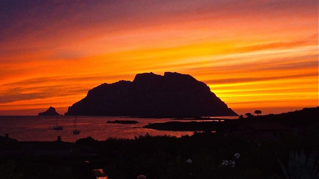 Цікава історія про Джузеппе Бертолеоні - фото 1