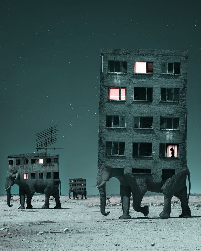 Моторошні кадри від польського фотографа - фото 276141