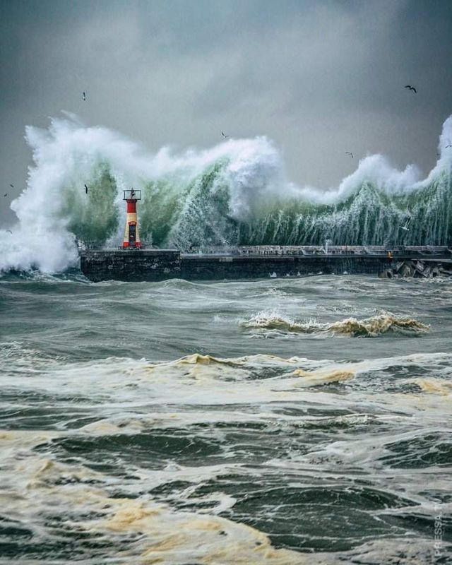 Світ очима фотографа, який побував у 70 країнах - фото 277547