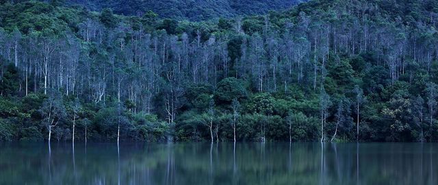 Вражаючі фото природи у розвиненому місті - фото 275096