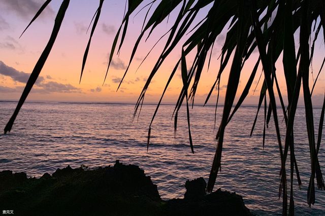 Фото з iPhone XS - фото 276710