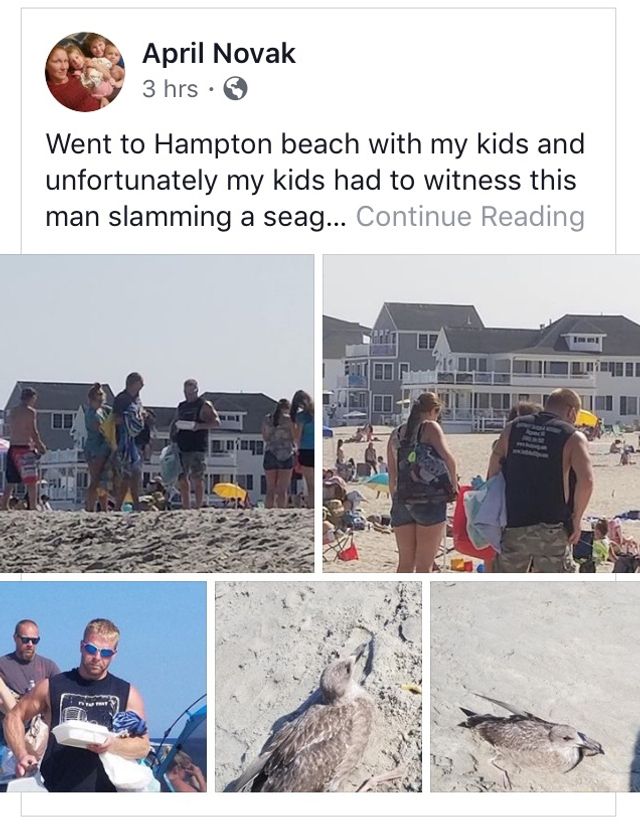 Пост, який виклала небайдужа американка - фото 274734