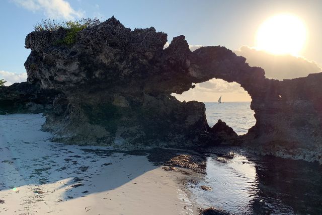 Фото з iPhone XS - фото 276708