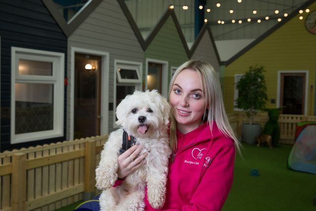 У Великобританії відкрили розкішний готель для собак - фото 277151