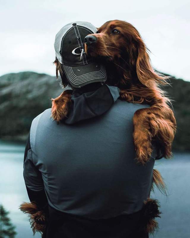 Норвежець з собакою мандрують світом - фото 278726