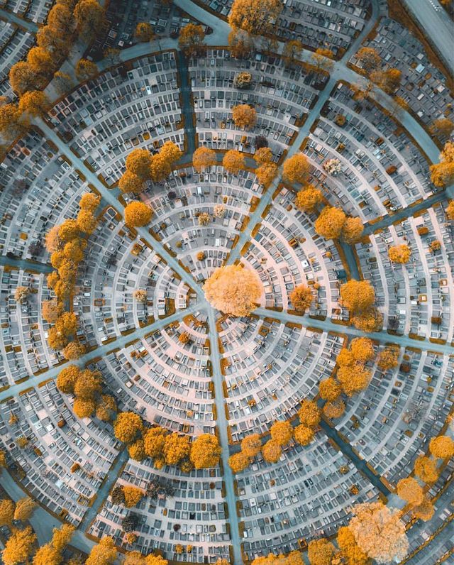 Цей фотограф своїми знімками змушує затамувати подих - фото 276941