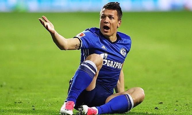 Коноплянку вигнали з поля в Німеччині: опубліковано відео