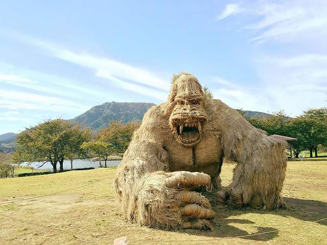 Солом'яні гіганти у Японії - фото 275862