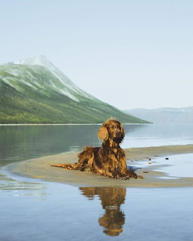 Норвежець з собакою мандрують світом - фото 278725