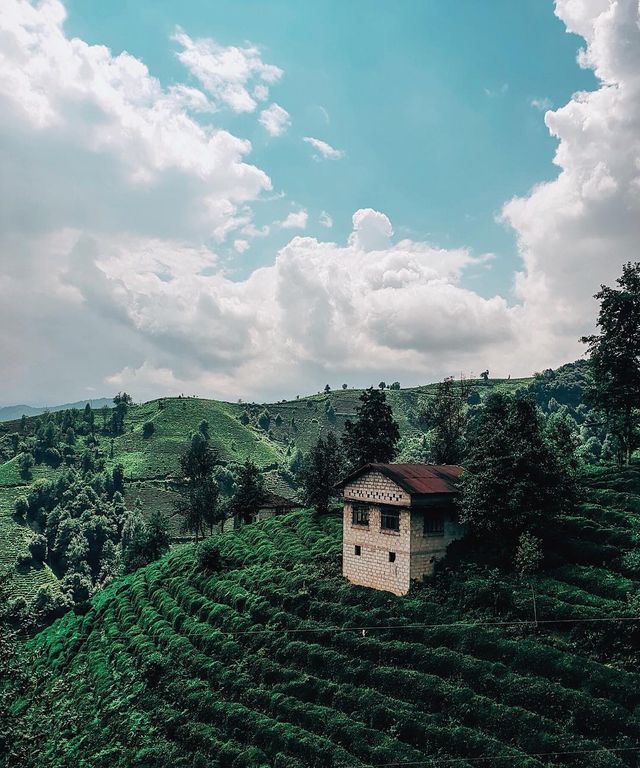 Талановитий фотограф надихає на подорожі - фото 277440