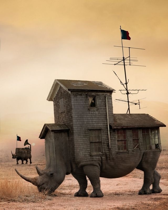 Моторошні кадри від польського фотографа - фото 276134