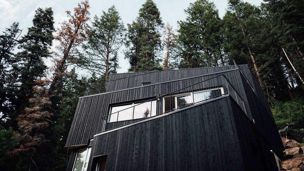 У лісі звели унікальний двоповерховий будинок