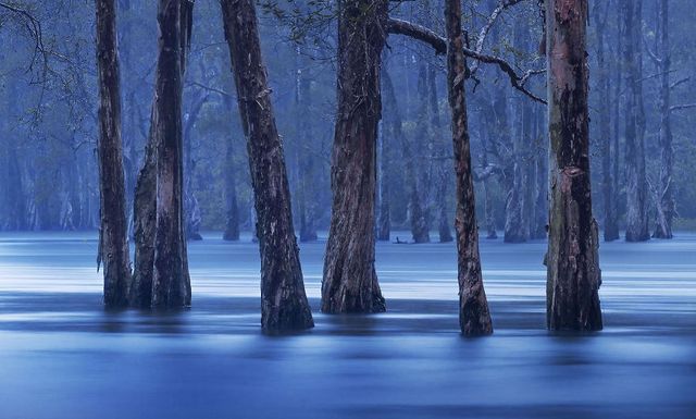Вражаючі фото природи у розвиненому місті - фото 275092