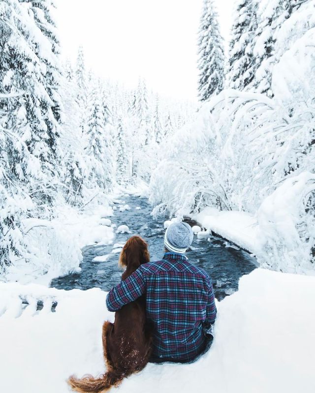 Норвежець з собакою мандрують світом - фото 278731