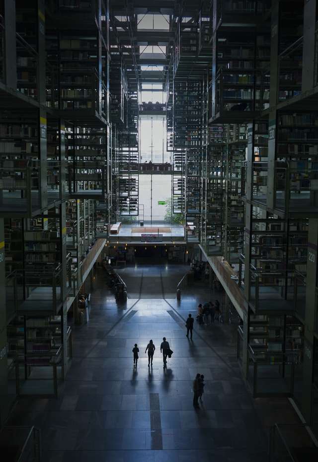 Ефектна бібліотека у Мехіко - фото 279177