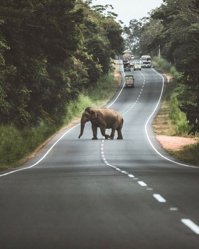 Подорожі, від яких перехоплює дух - фото 278633