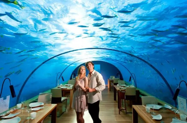 Підводний світ - фото 283021