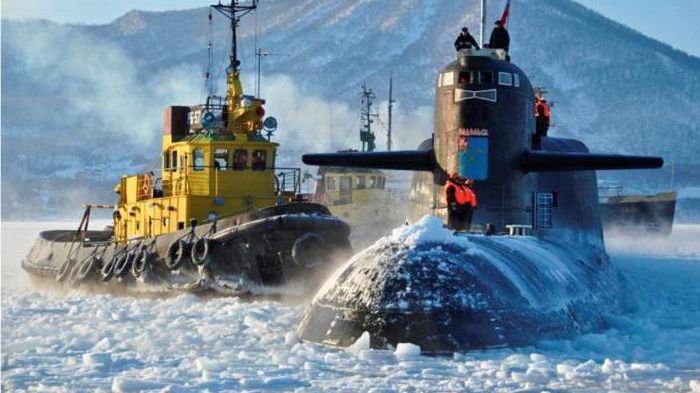 Флот РФ - фото 1