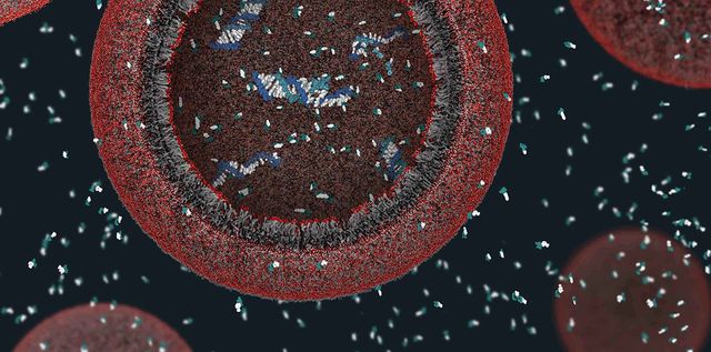 Створено перше штучне квантове 'життя' - фото 280755