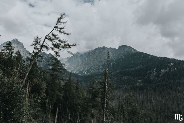 Татри у Словаччині: ефектні фото мандрівки - фото 282939