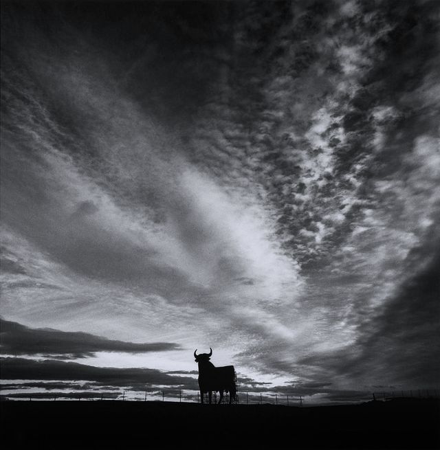 Роботи Майкла Кенна - фото 283341